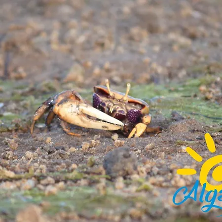 Casa Do Pescador By Algartur Casa vacanze Tavira